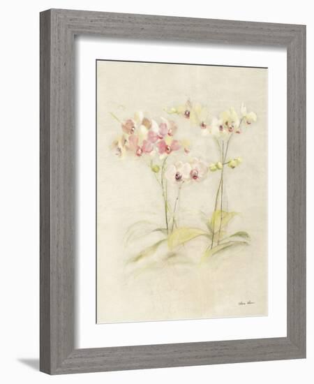 Orchids in Bloom I-Cheri Blum-Framed Art Print