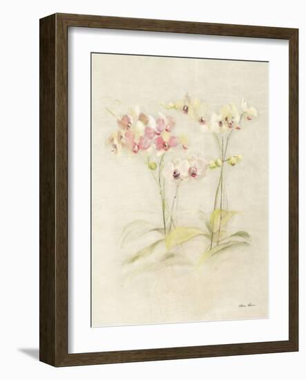 Orchids in Bloom I-Cheri Blum-Framed Art Print