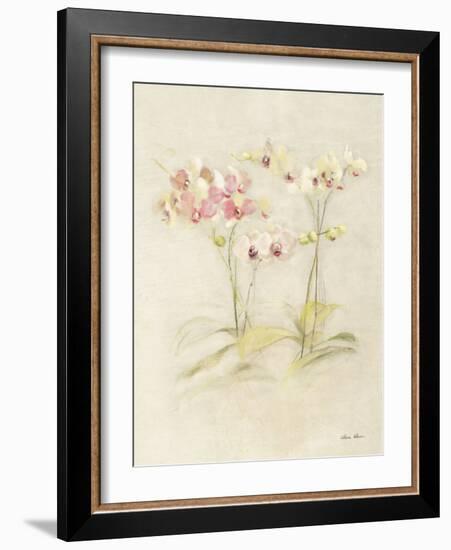 Orchids in Bloom I-Cheri Blum-Framed Art Print