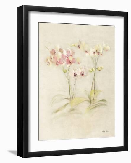 Orchids in Bloom I-Cheri Blum-Framed Art Print