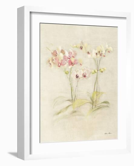 Orchids in Bloom I-Cheri Blum-Framed Art Print