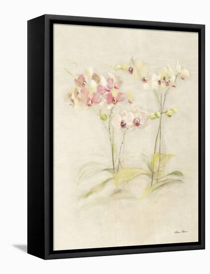 Orchids in Bloom I-Cheri Blum-Framed Stretched Canvas