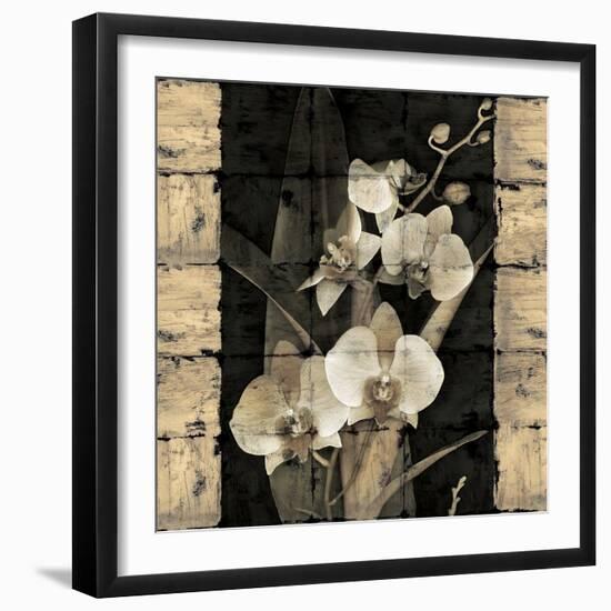 Orchids in Bloom II-John Seba-Framed Art Print