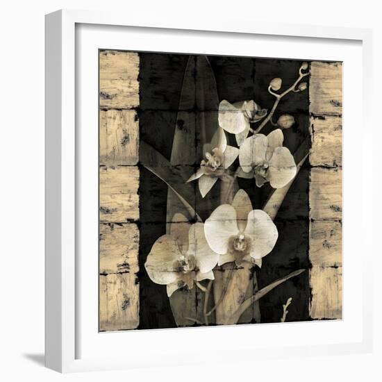 Orchids in Bloom II-John Seba-Framed Art Print