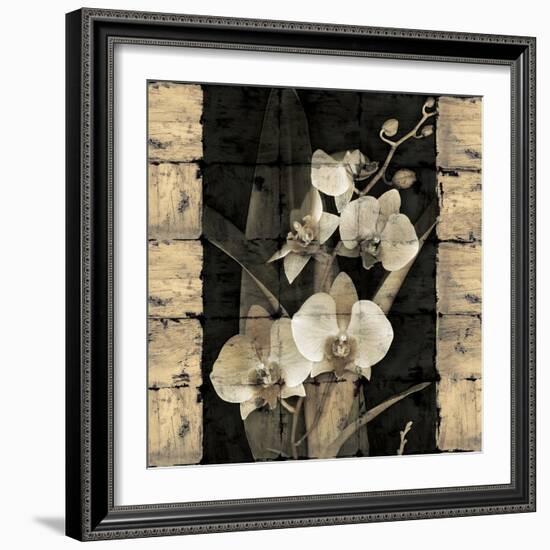 Orchids in Bloom II-John Seba-Framed Art Print