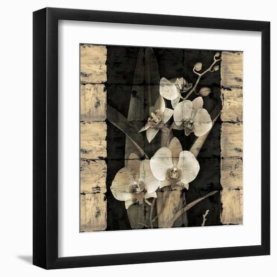 Orchids in Bloom II-John Seba-Framed Art Print