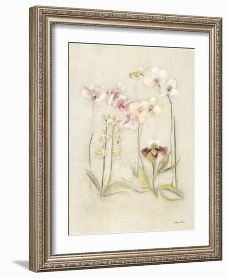 Orchids in Bloom II-Cheri Blum-Framed Art Print