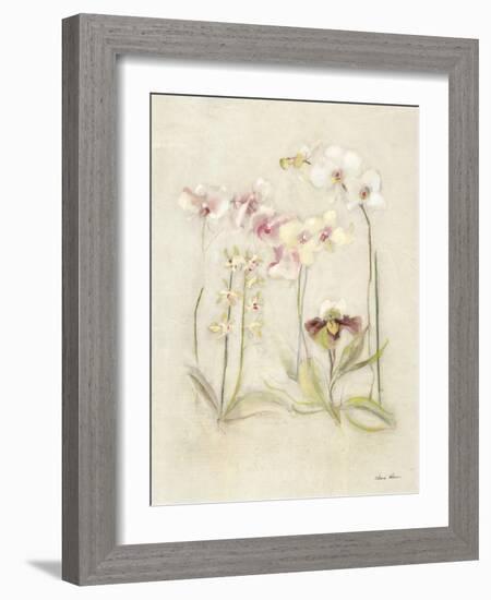 Orchids in Bloom II-Cheri Blum-Framed Art Print