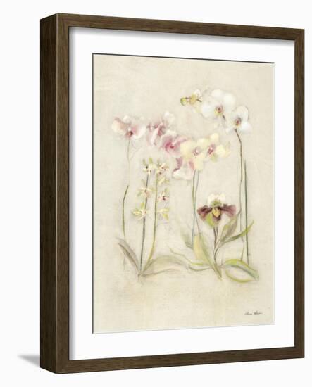 Orchids in Bloom II-Cheri Blum-Framed Art Print