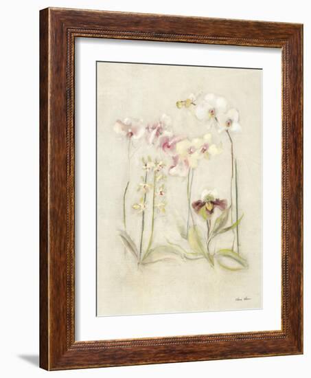 Orchids in Bloom II-Cheri Blum-Framed Art Print