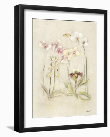 Orchids in Bloom II-Cheri Blum-Framed Art Print