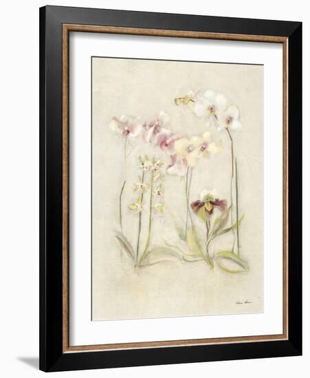 Orchids in Bloom II-Cheri Blum-Framed Art Print