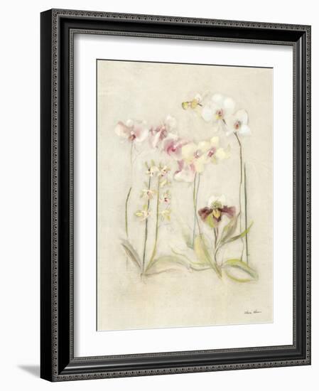 Orchids in Bloom II-Cheri Blum-Framed Art Print