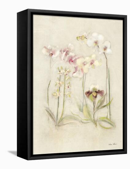 Orchids in Bloom II-Cheri Blum-Framed Stretched Canvas