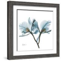 Orchids in Blue-Albert Koetsier-Framed Art Print