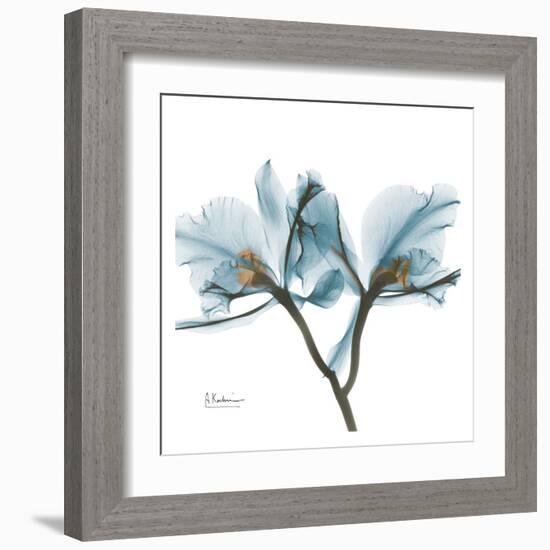 Orchids in Blue-Albert Koetsier-Framed Art Print