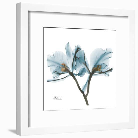 Orchids in Blue-Albert Koetsier-Framed Art Print