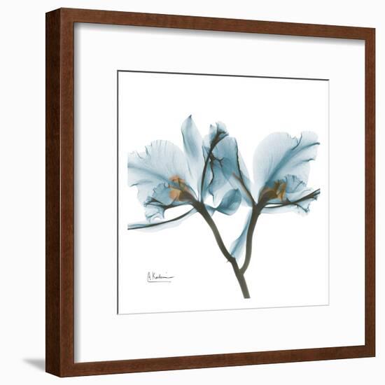 Orchids in Blue-Albert Koetsier-Framed Art Print