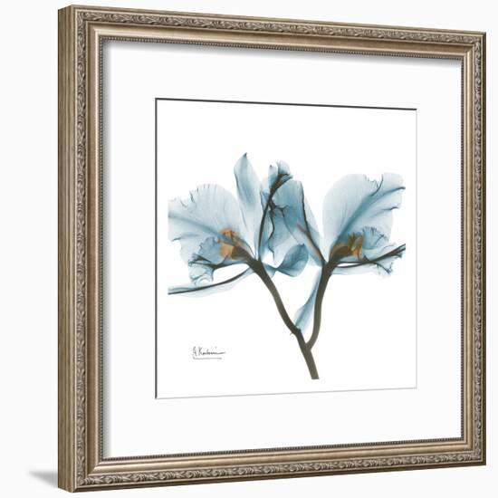 Orchids in Blue-Albert Koetsier-Framed Art Print