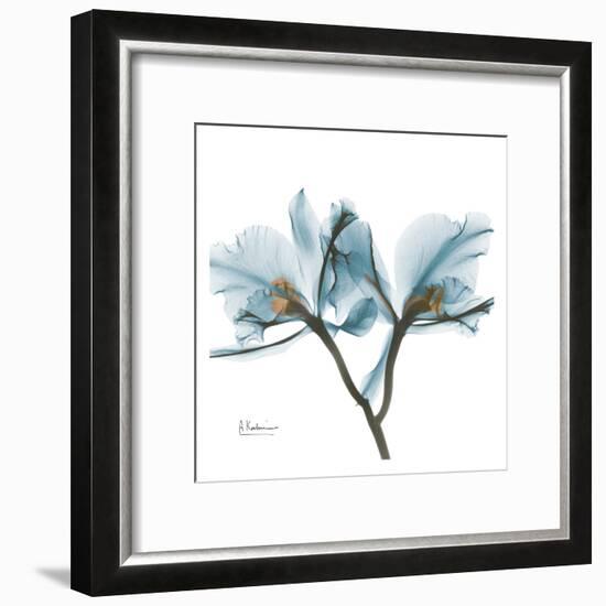 Orchids in Blue-Albert Koetsier-Framed Art Print