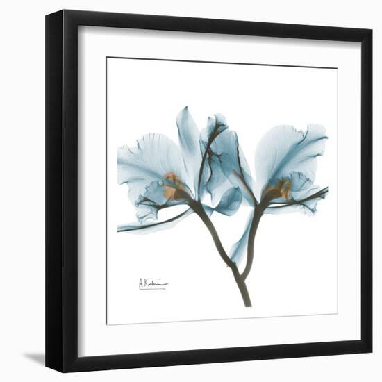 Orchids in Blue-Albert Koetsier-Framed Art Print