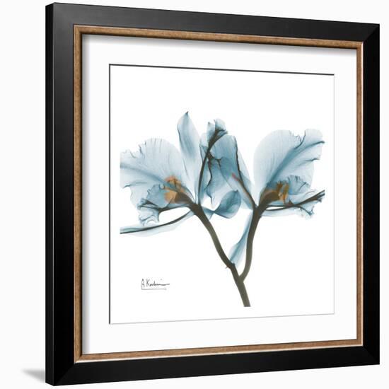 Orchids in Blue-Albert Koetsier-Framed Art Print