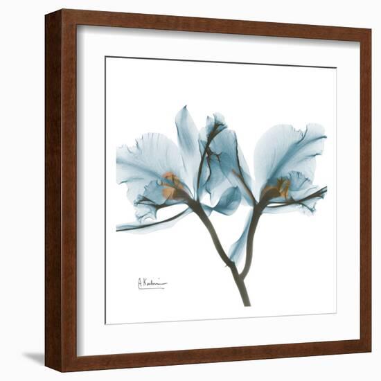 Orchids in Blue-Albert Koetsier-Framed Art Print