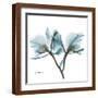 Orchids in Blue-Albert Koetsier-Framed Art Print