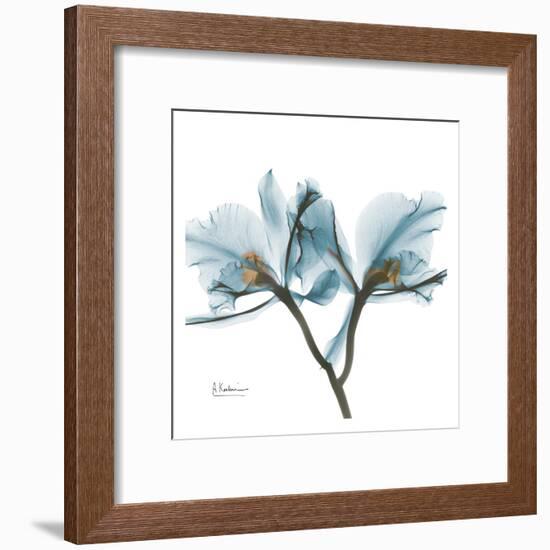 Orchids in Blue-Albert Koetsier-Framed Art Print