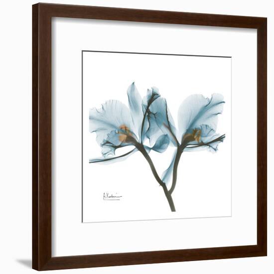 Orchids in Blue-Albert Koetsier-Framed Art Print