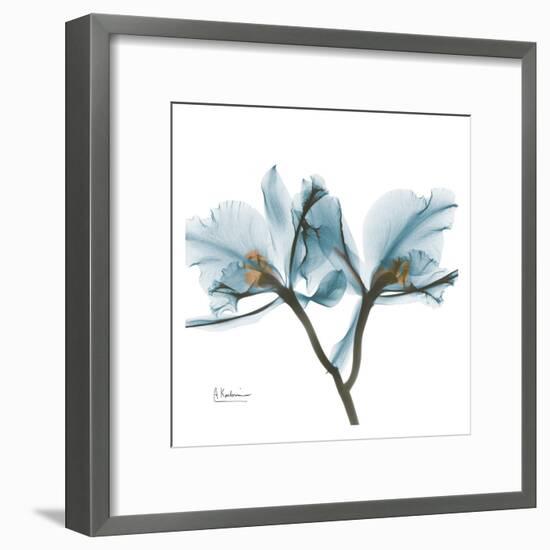 Orchids in Blue-Albert Koetsier-Framed Art Print