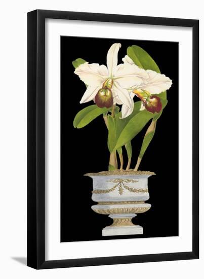 Orchids in Silver II-null-Framed Art Print