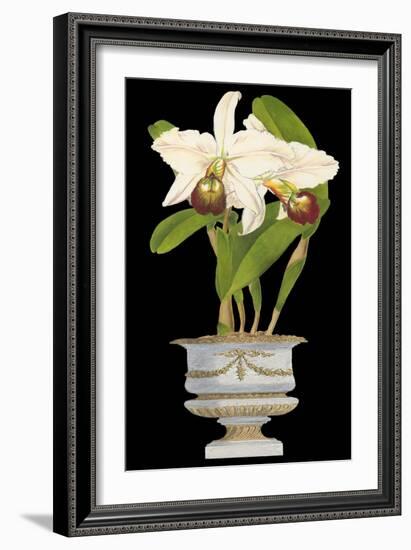 Orchids in Silver II-null-Framed Art Print
