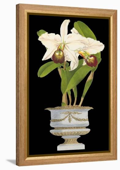 Orchids in Silver II-null-Framed Stretched Canvas