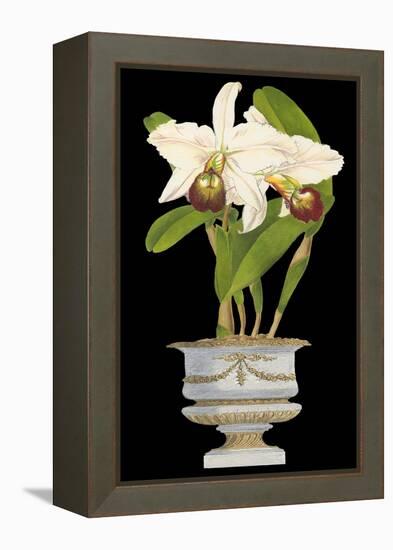 Orchids in Silver II-null-Framed Stretched Canvas