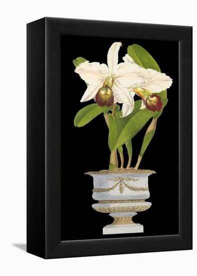 Orchids in Silver II-null-Framed Stretched Canvas