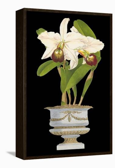 Orchids in Silver II-null-Framed Stretched Canvas