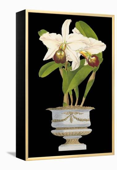 Orchids in Silver II-null-Framed Stretched Canvas