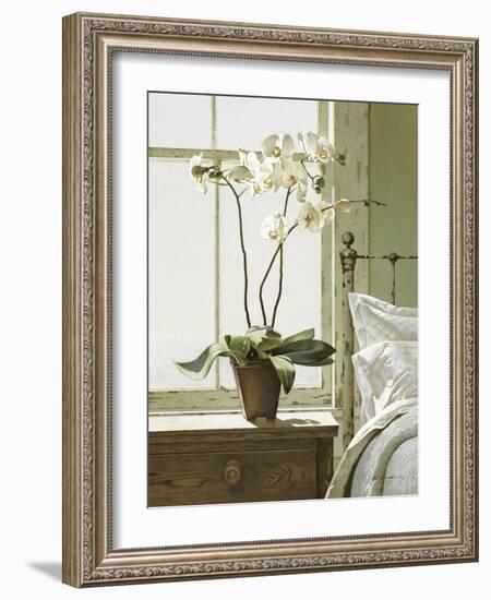 Orchids In The Window-Zhen-Huan Lu-Framed Giclee Print