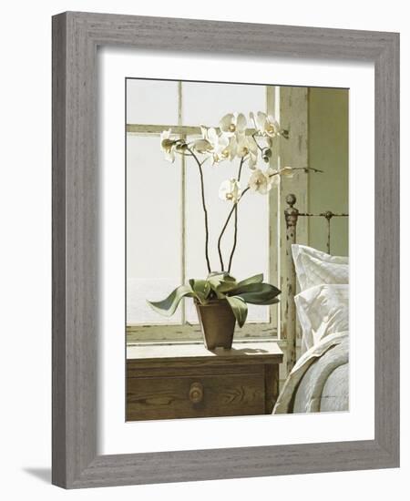 Orchids In The Window-Zhen-Huan Lu-Framed Giclee Print