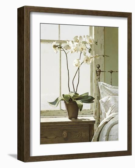 Orchids In The Window-Zhen-Huan Lu-Framed Giclee Print