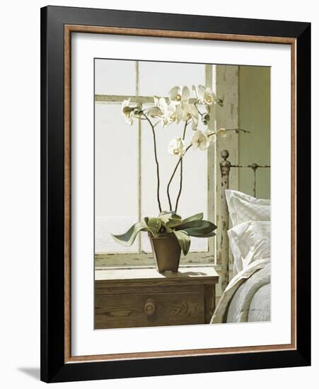 Orchids In The Window-Zhen-Huan Lu-Framed Giclee Print