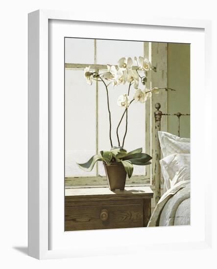 Orchids In The Window-Zhen-Huan Lu-Framed Giclee Print