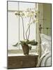 Orchids In The Window-Zhen-Huan Lu-Mounted Giclee Print