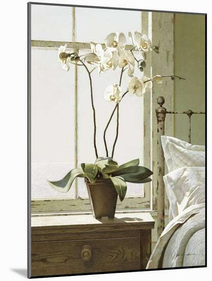 Orchids In The Window-Zhen-Huan Lu-Mounted Giclee Print