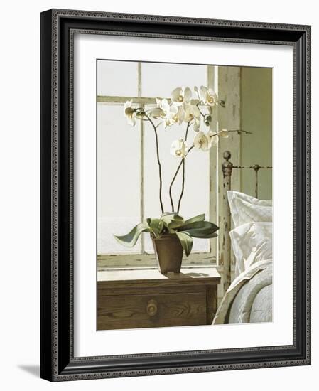 Orchids In The Window-Zhen-Huan Lu-Framed Giclee Print