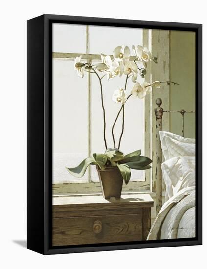 Orchids In The Window-Zhen-Huan Lu-Framed Premier Image Canvas