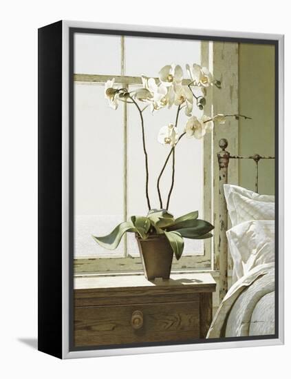 Orchids In The Window-Zhen-Huan Lu-Framed Premier Image Canvas