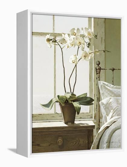 Orchids In The Window-Zhen-Huan Lu-Framed Premier Image Canvas