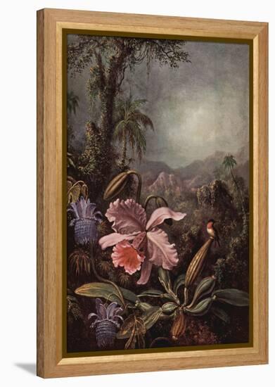 Orchids, Passion Flowers And Hummingbirds-Martin Johnson Heade-Framed Stretched Canvas